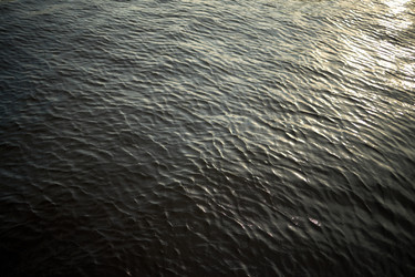 Similar image 22263303