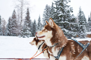 Similar image 22261283