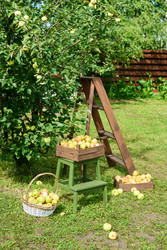 Similar image 22262422