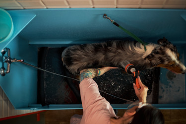 Similar image 22263273