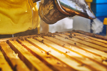 Similar image 22261398