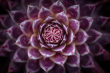 Similar image 22265763