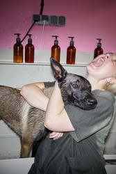 Similar image 22260775