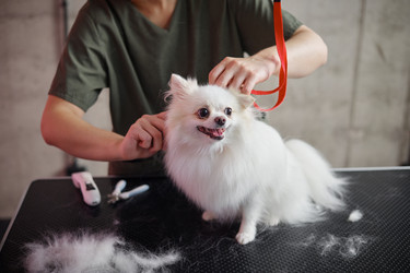 Similar image 22260748