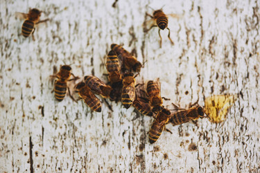 Similar image 22261364