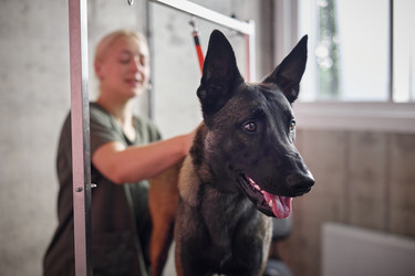 Similar image 22260763