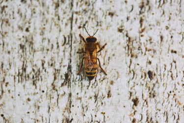 Similar image 22261370