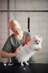 Similar image 22260747