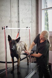 Similar image 22260780