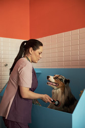 Similar image 22263265