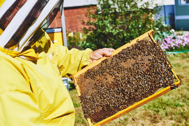 Similar image 22261389