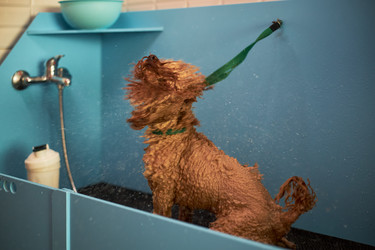 Similar image 22263245