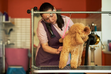 Similar image 22263253