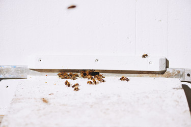 Similar image 22261350