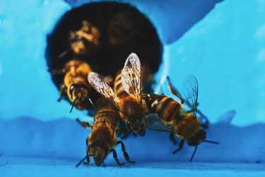 Similar image 22261411