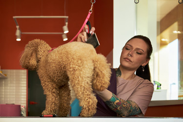 Similar image 22263203