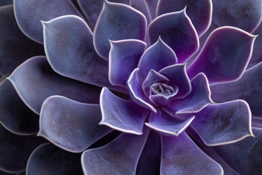 Similar image 22265766