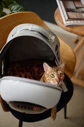 Similar image 22260937