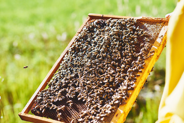 Similar image 22261386