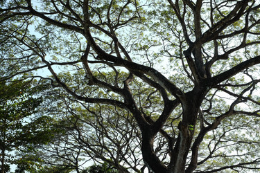 Similar image 22263825