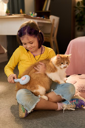 Similar image 22262585