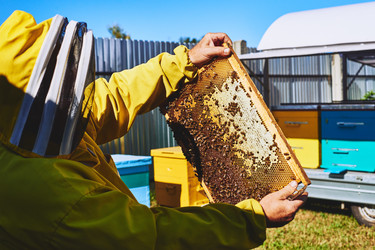 Similar image 22261357