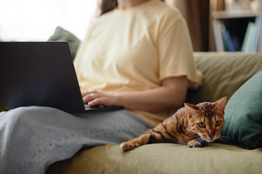 Similar image 22260925