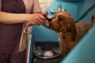 Similar image 22263244