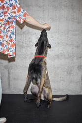 Similar image 22260783