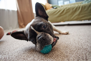 Similar image 22260910