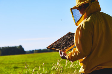 Similar image 22261384