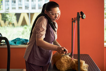 Similar image 22263248