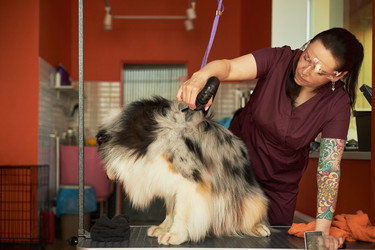 Similar image 22263208