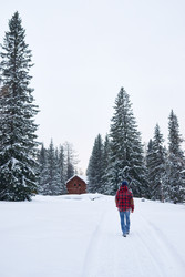 Similar image 22261291