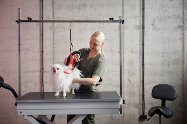 Similar image 22260755