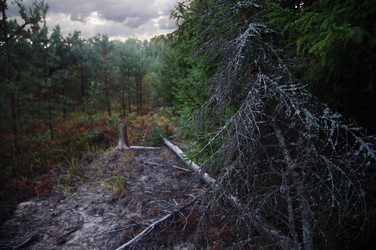 Similar image 22263866