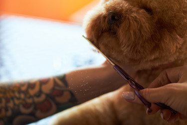 Similar image 22263258