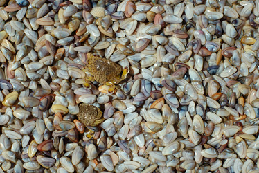 Similar image 22263819