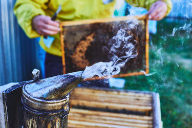 Similar image 22261391