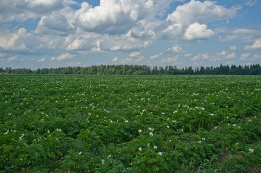 Similar image 22263875