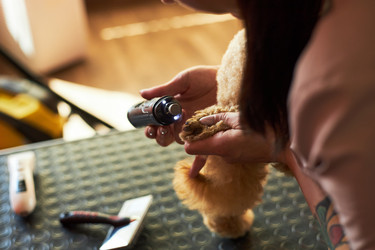 Similar image 22263234