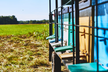 Similar image 22261413