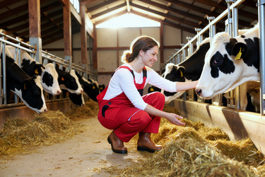 Similar image 22265193