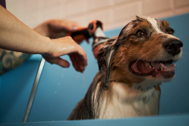 Similar image 22263268