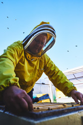 Similar image 22261403