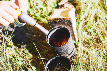 Similar image 22261394