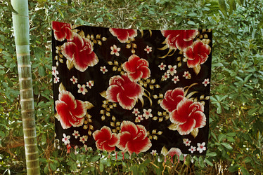 Similar image 22263826