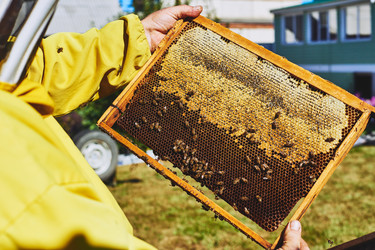 Similar image 22261361