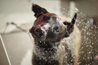 Similar image 22260779