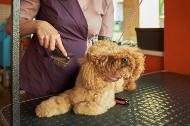 Similar image 22263212